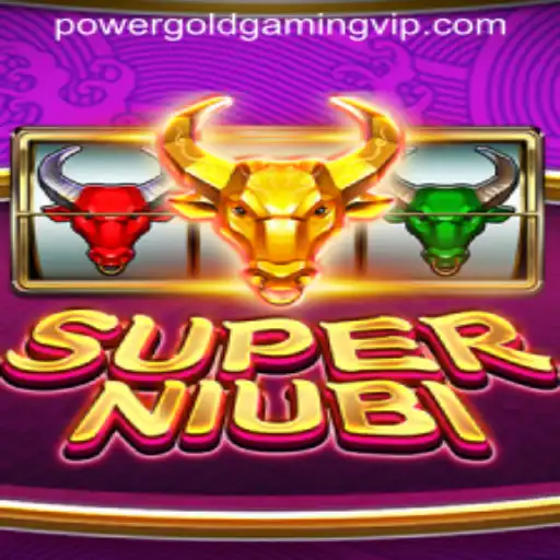 SuperNiubi: Exploring the Excitement of POWER GOLD GAMING